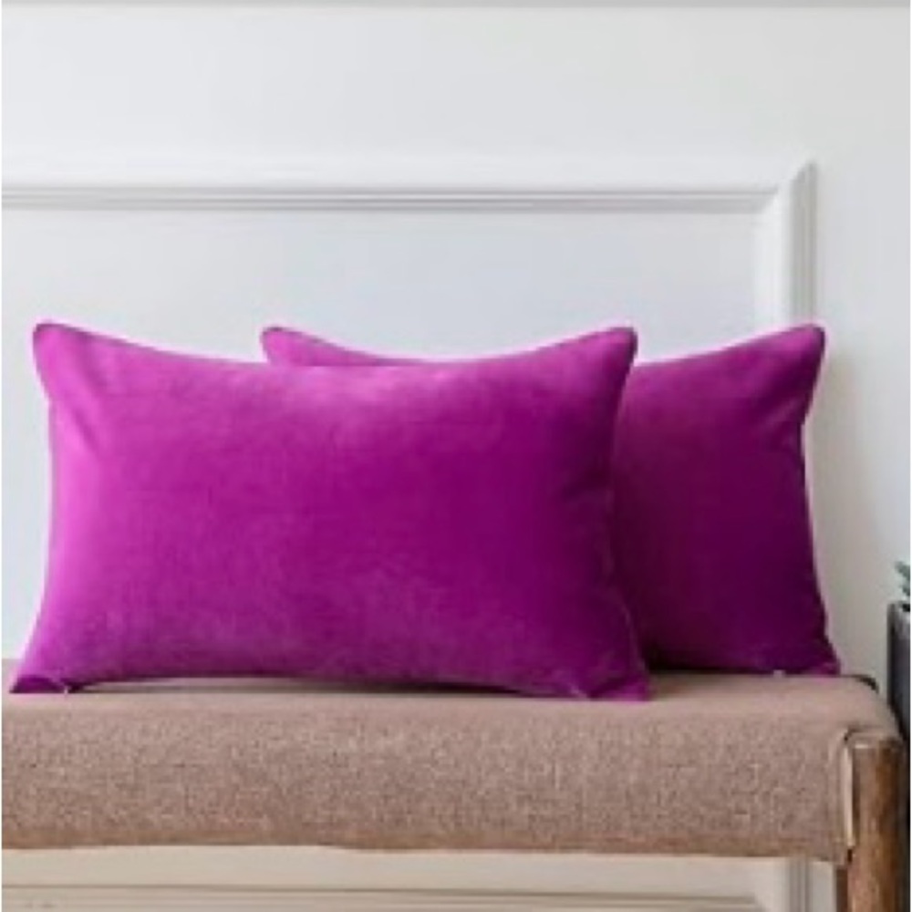 NEW! Ashler Pack of 2 Soft Velvet Decorative Throw Pillow Cushion Covers Violet
